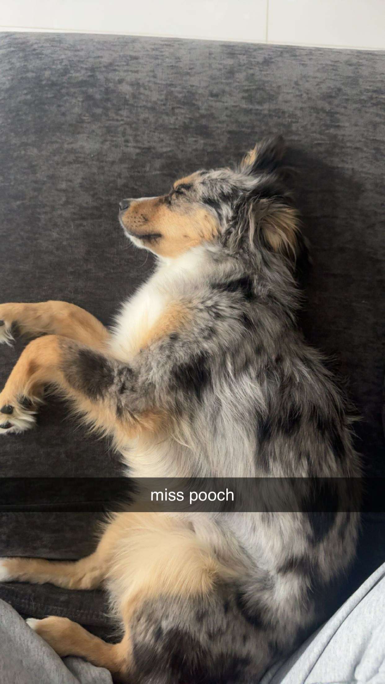 sadie.mckenna snapchat image archive image