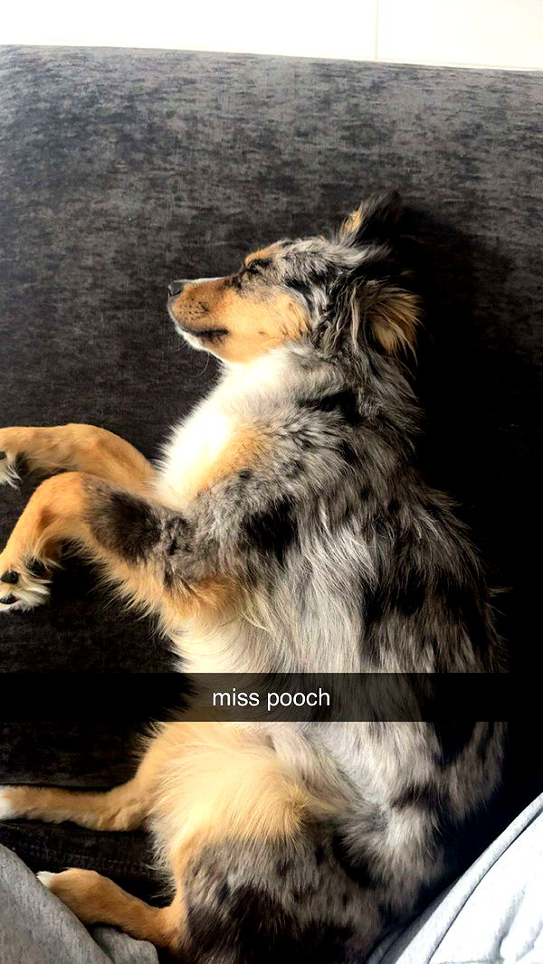 sadie.mckenna image ~ Altpins