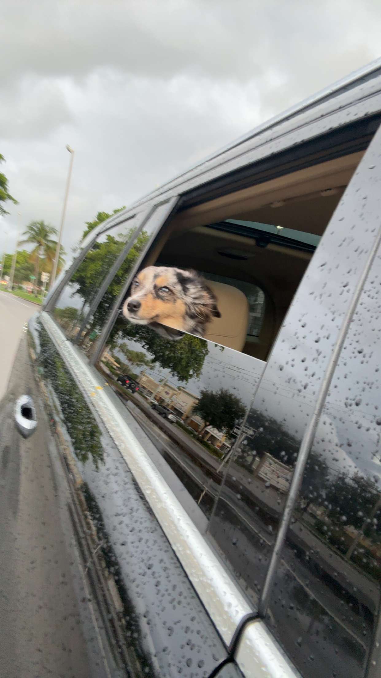 sadie.mckenna snapchat image archive image