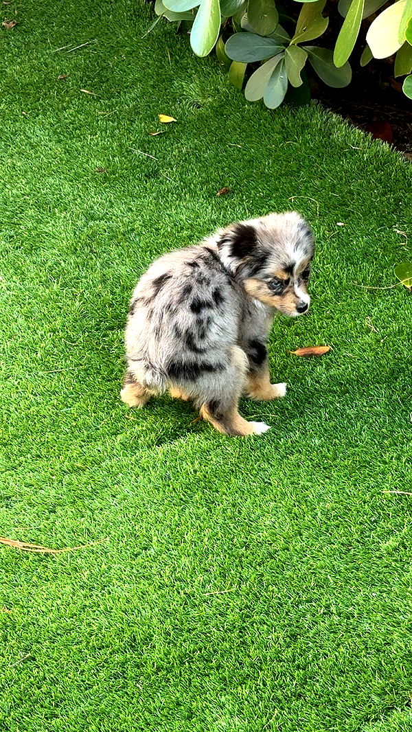 sadie.mckenna image ~ Altpins