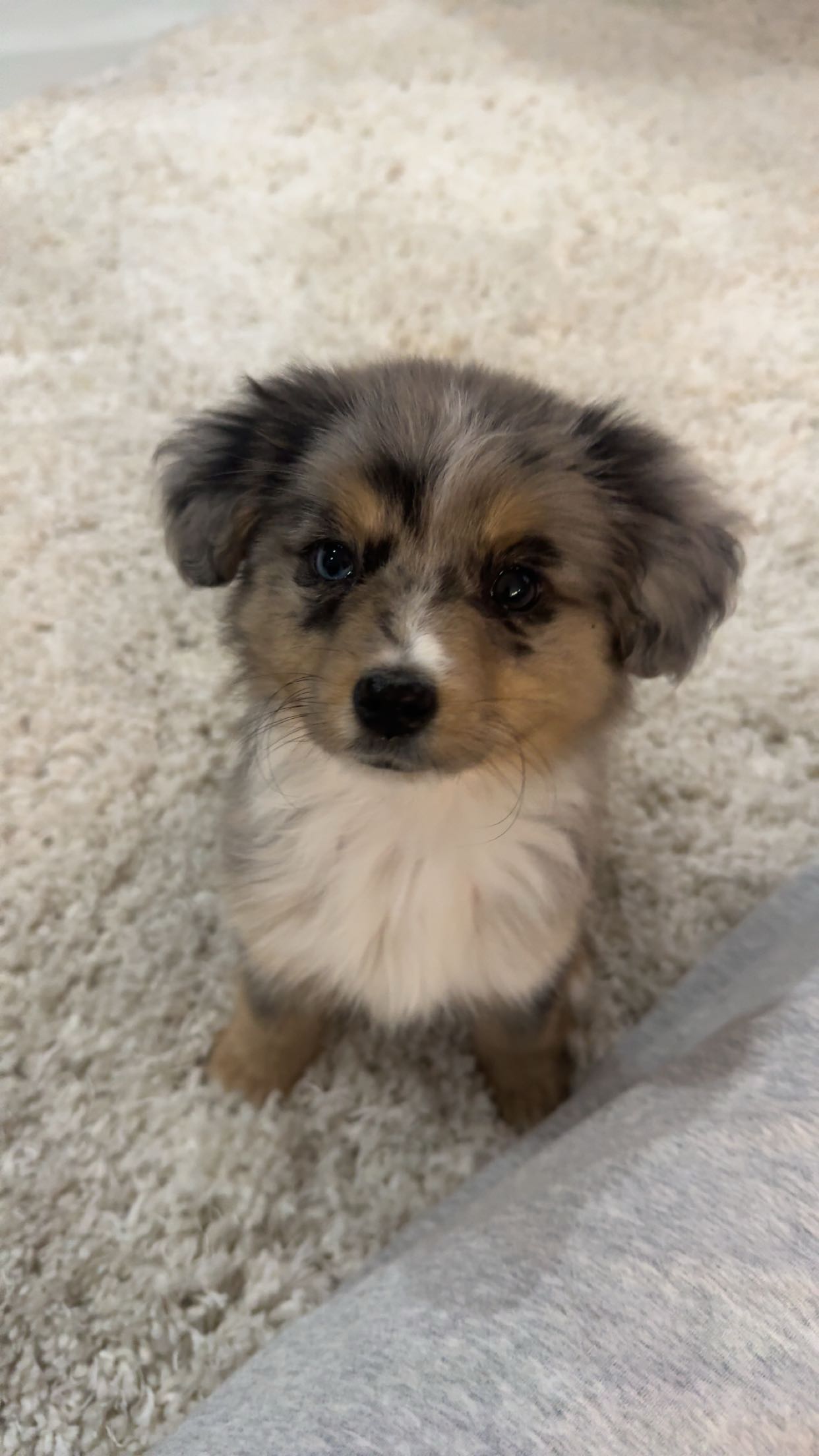 sadie.mckenna snapchat image archive image