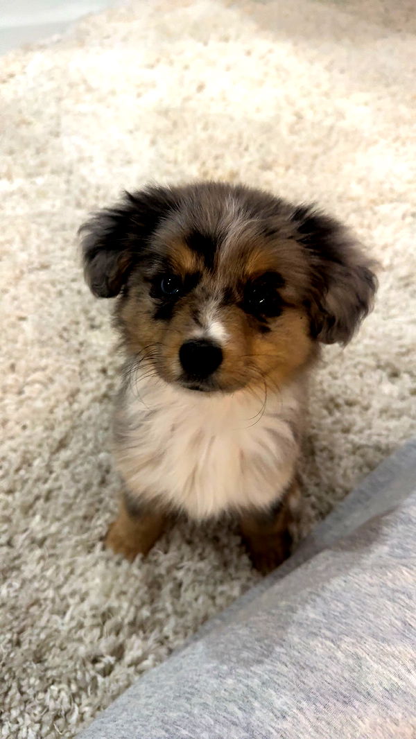 sadie.mckenna image ~ Altpins