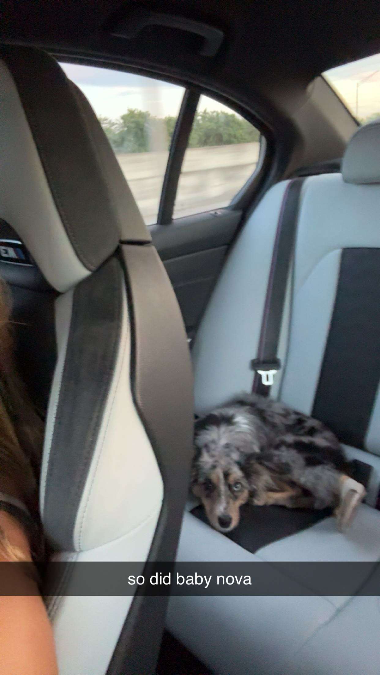 sadie.mckenna snapchat image archive image