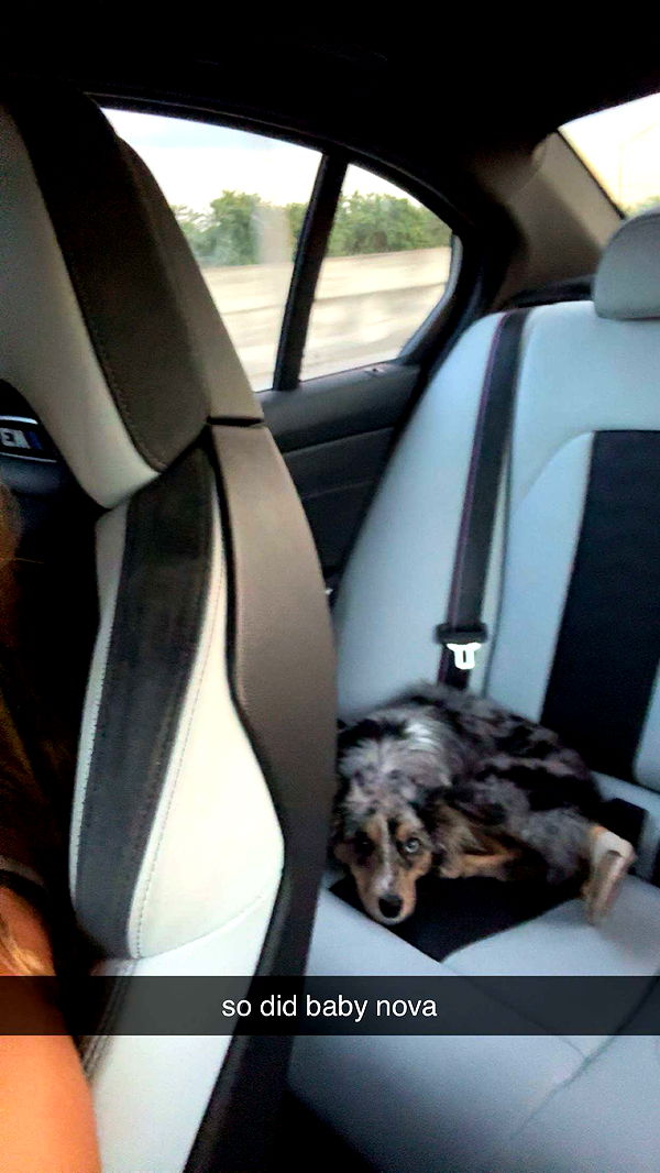 sadie.mckenna image ~ Altpins