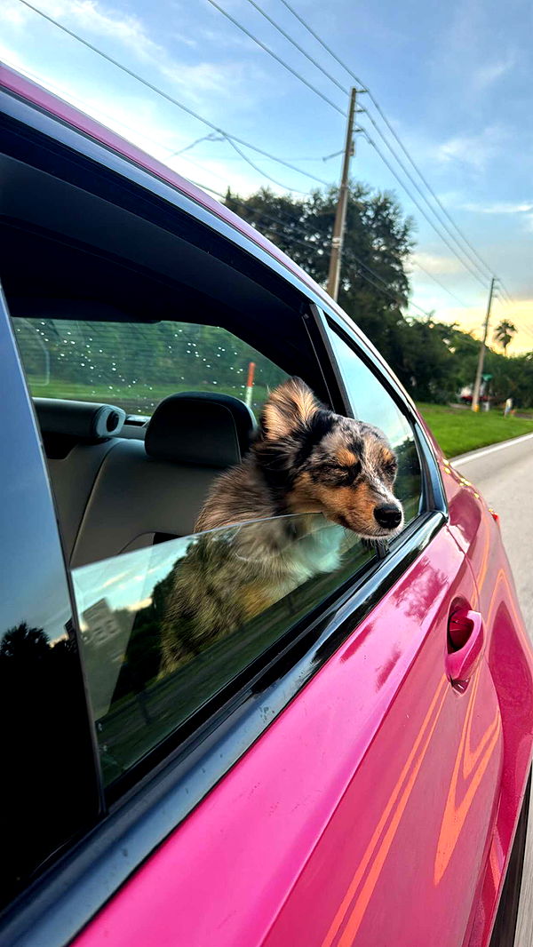 sadie.mckenna image ~ Altpins