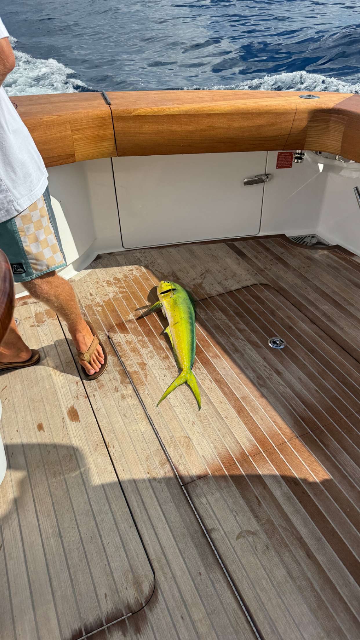 sadie.mckenna snapchat image archive image