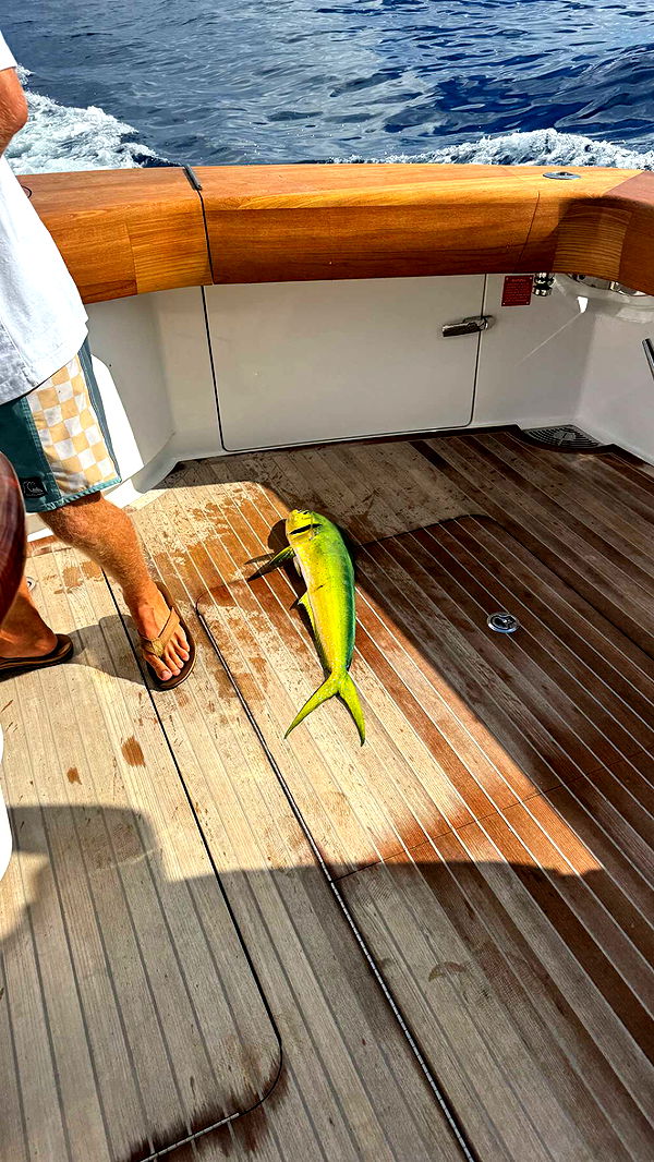 sadie.mckenna image ~ Altpins