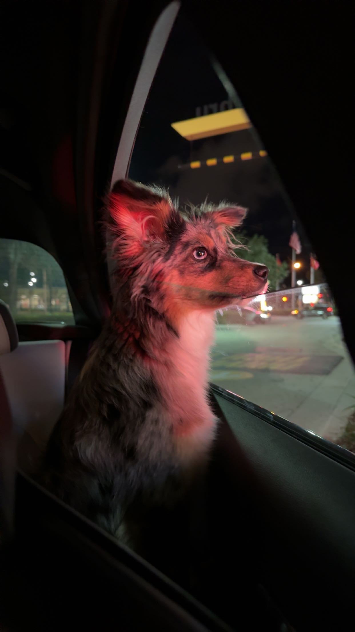 sadie.mckenna snapchat image archive image