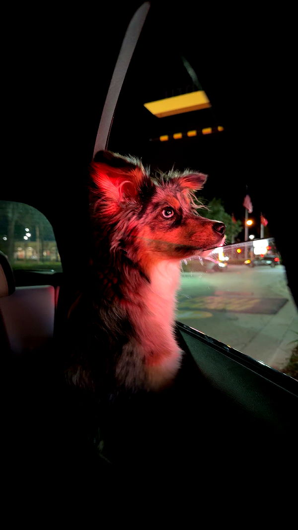 sadie.mckenna image ~ Altpins