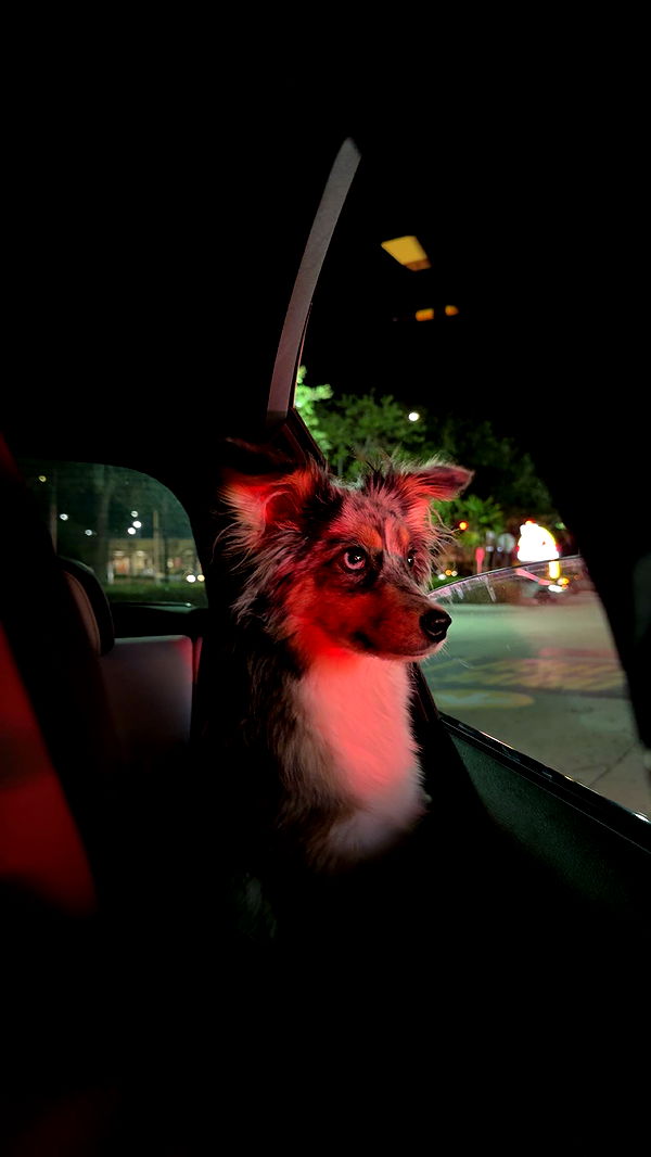 sadie.mckenna image ~ Altpins