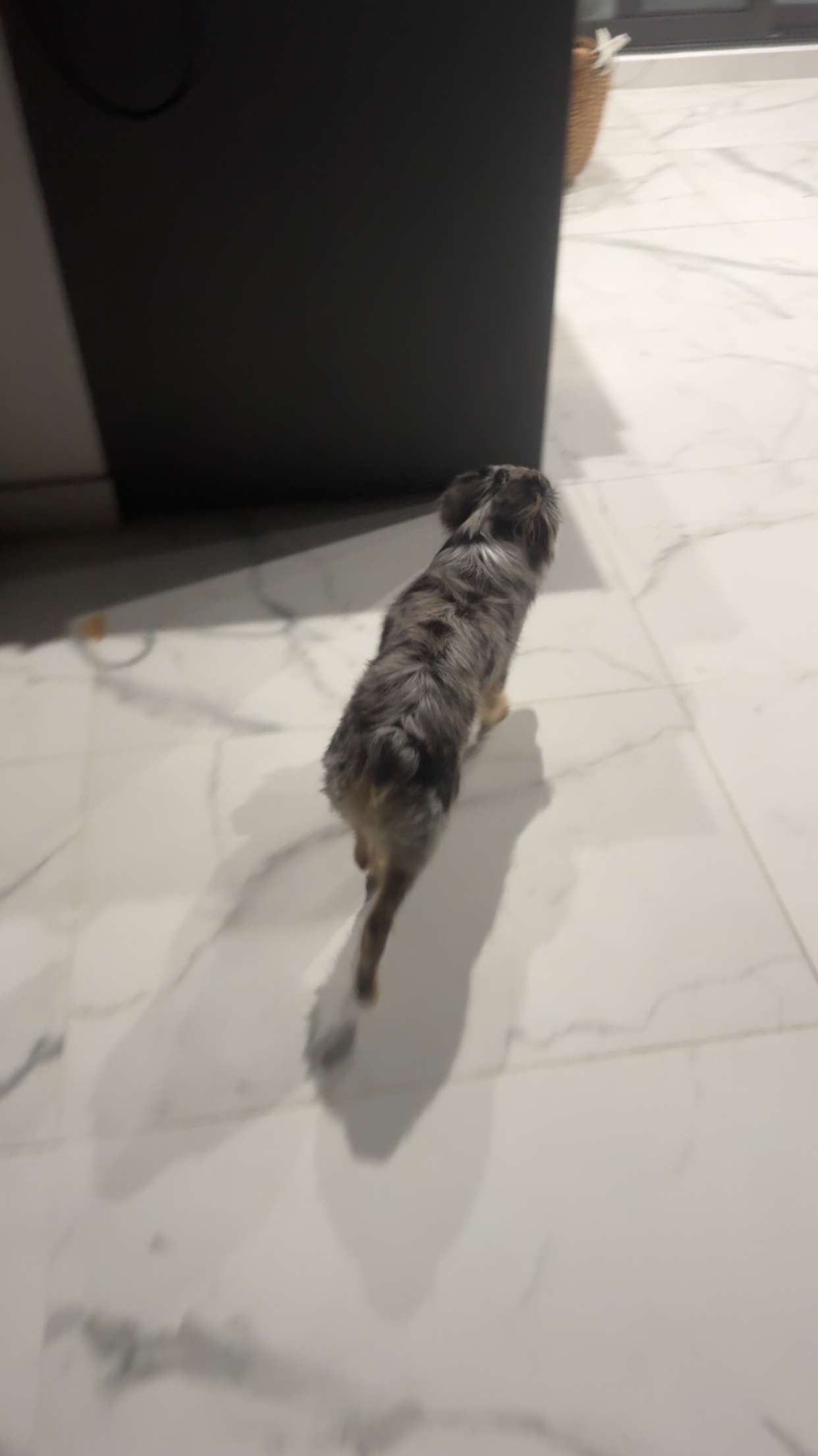 sadie.mckenna snapchat image archive image