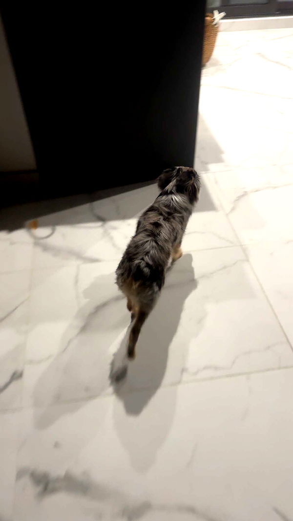 sadie.mckenna image ~ Altpins