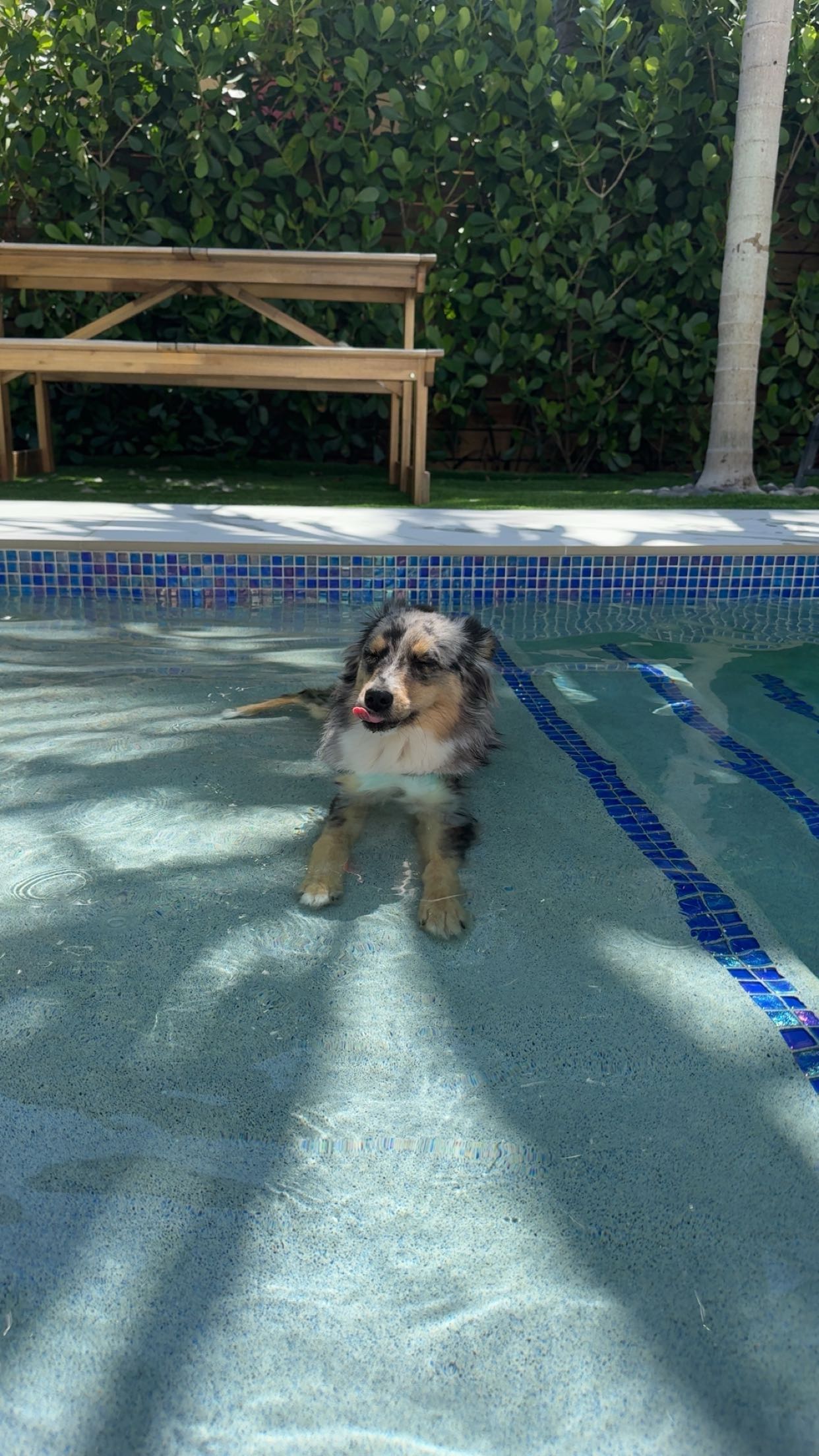 sadie.mckenna snapchat image archive image