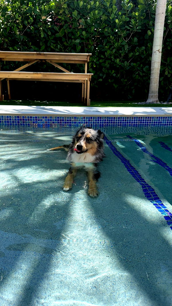 sadie.mckenna image ~ Altpins