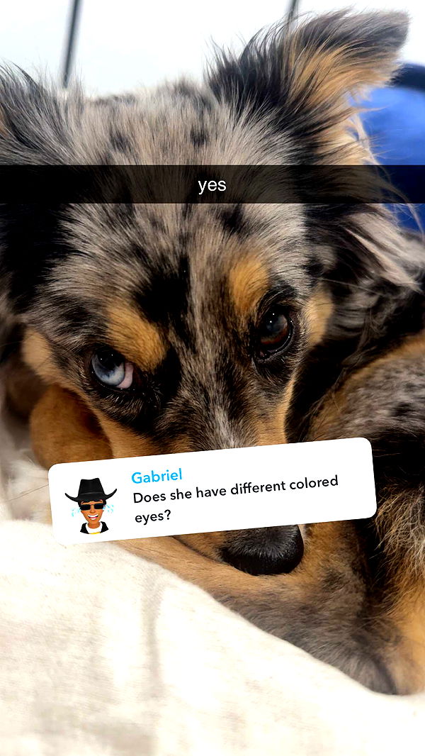 sadie.mckenna image ~ Altpins