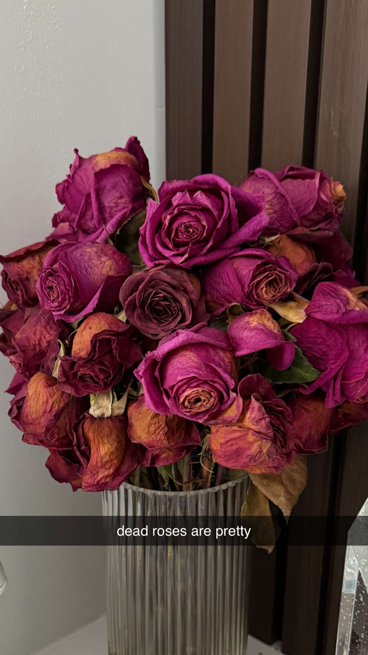 sadie.mckenna snapchat image archive image