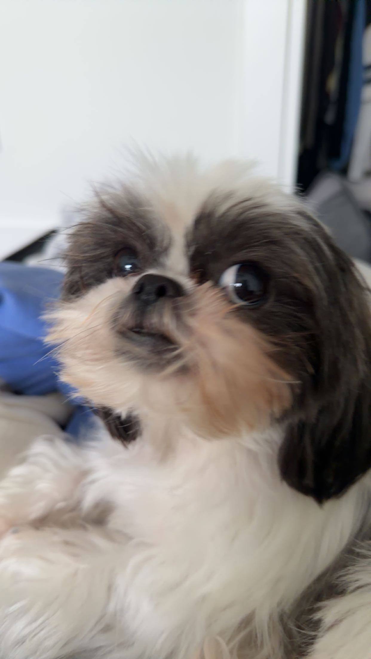 sadie.mckenna snapchat image archive image