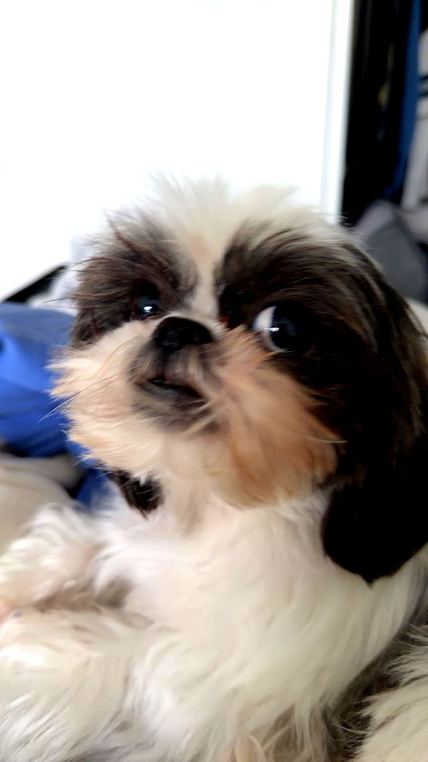 sadie.mckenna image ~ Altpins