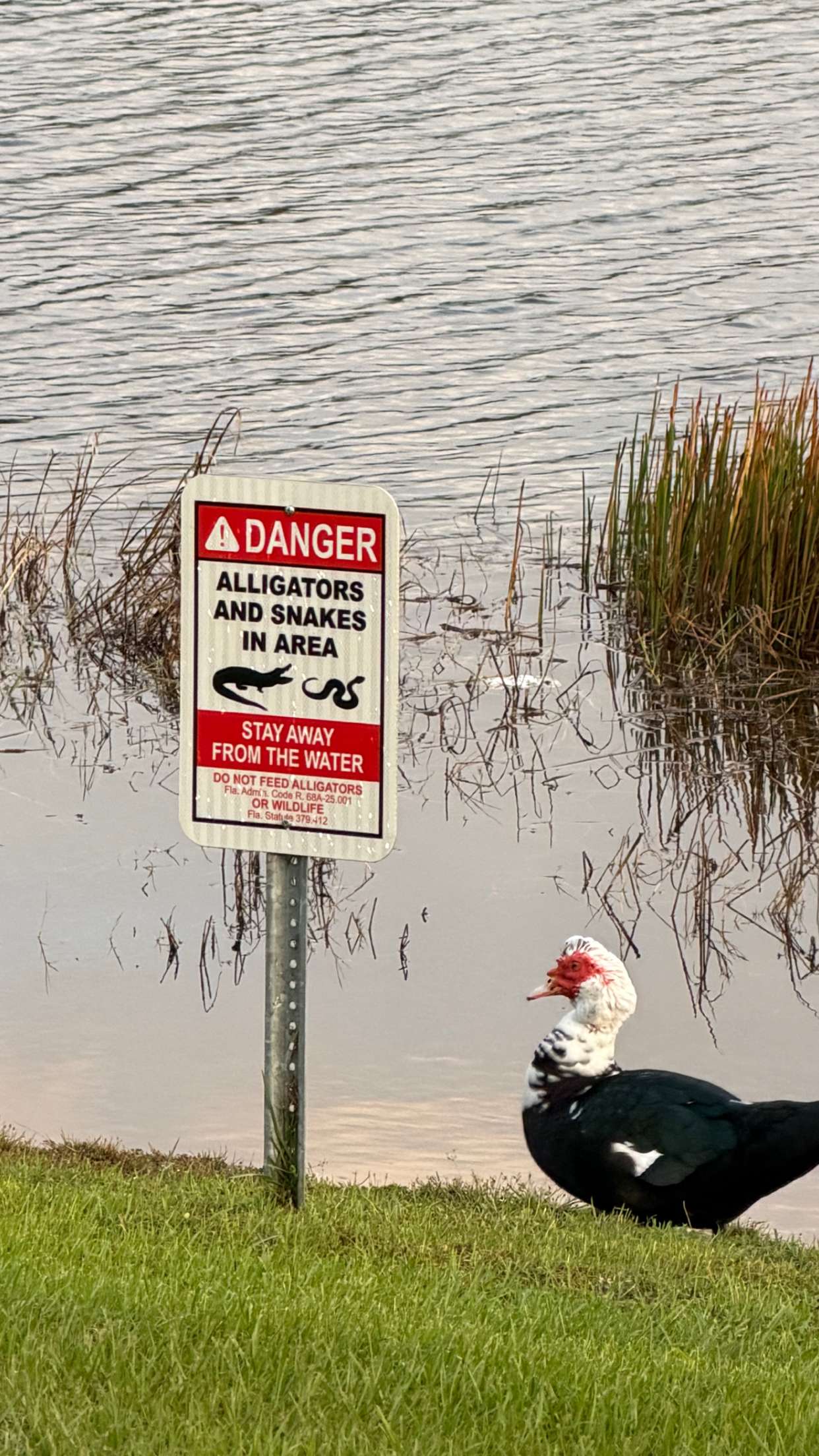 sadie.mckenna snapchat image archive image