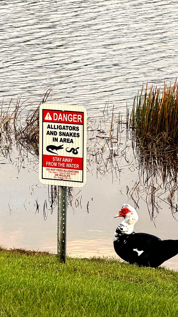 sadie.mckenna image ~ Altpins