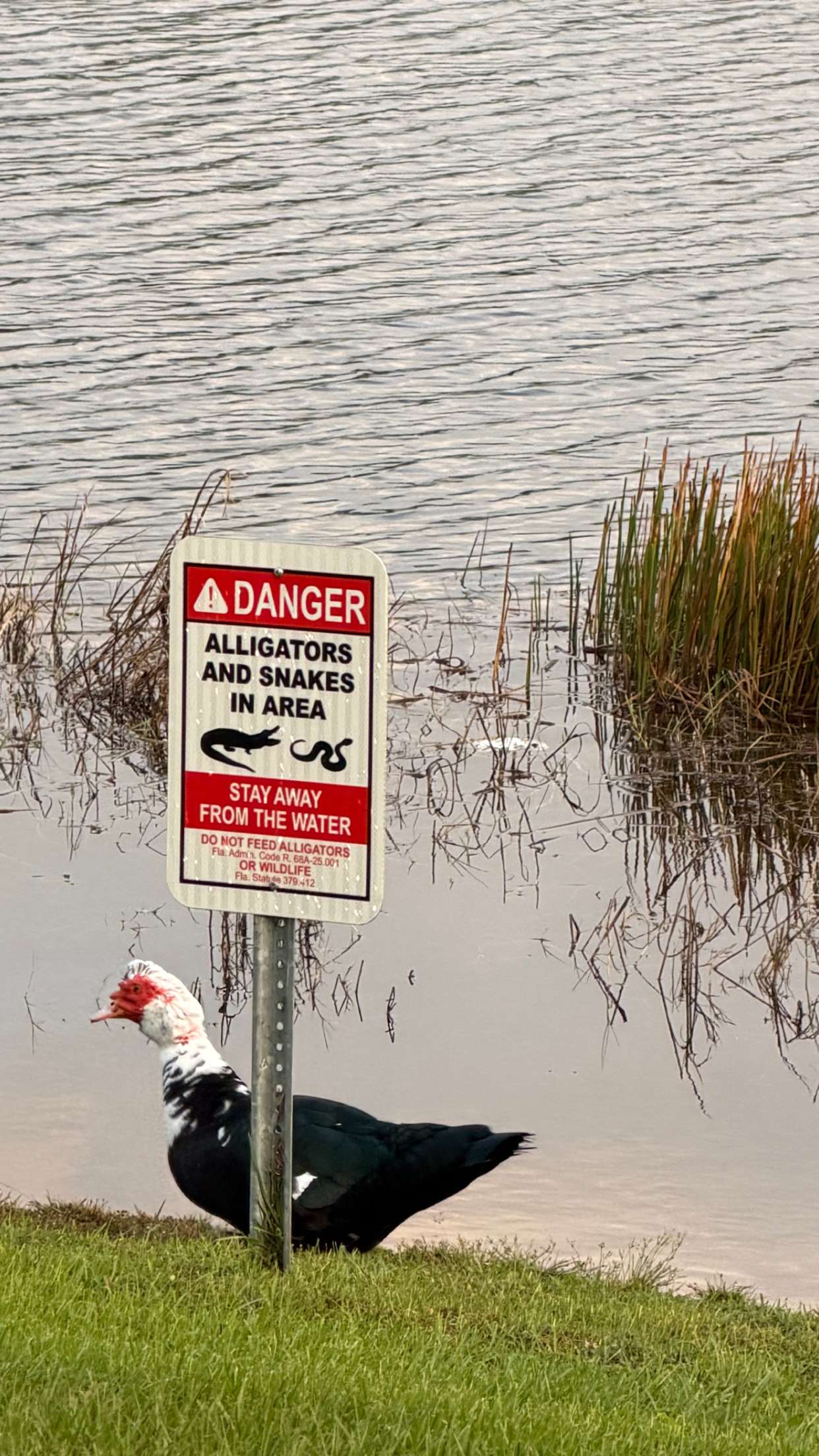 sadie.mckenna snapchat image archive image