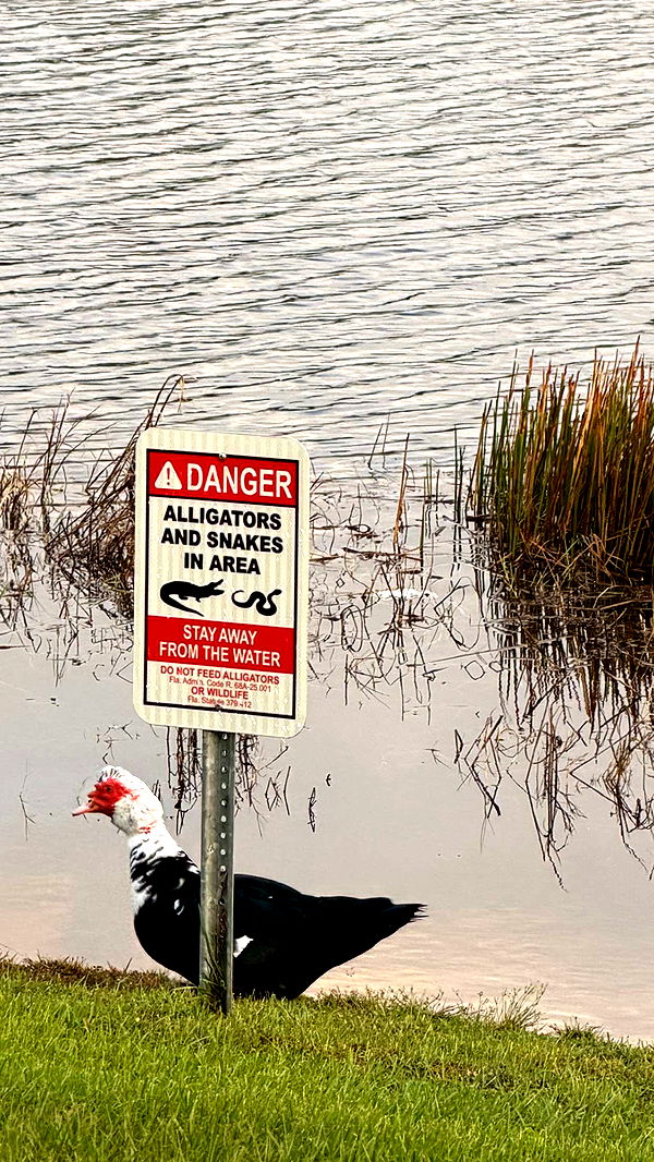 sadie.mckenna image ~ Altpins