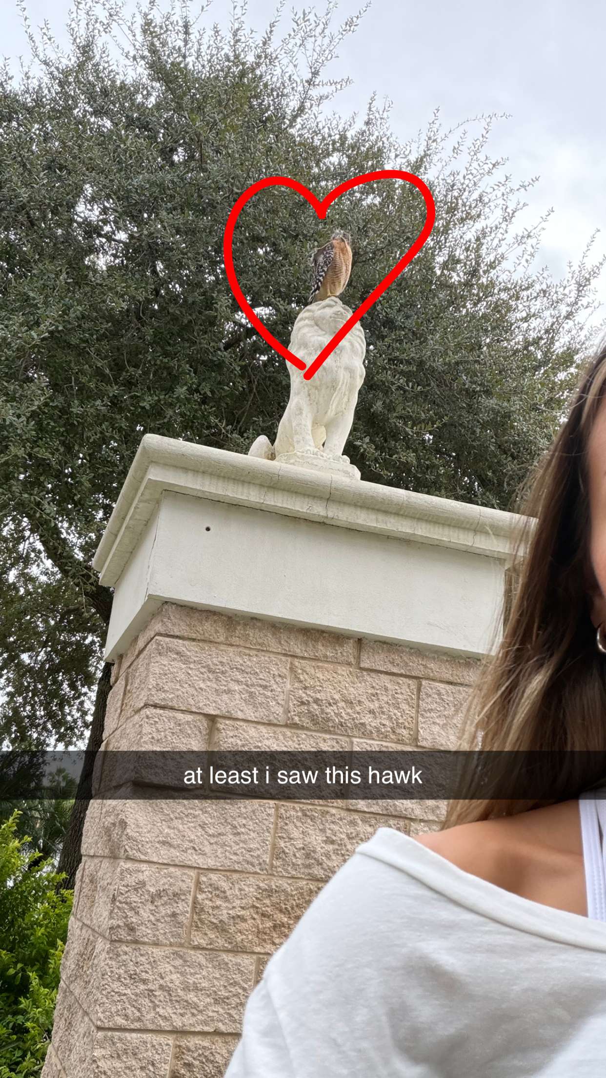 sadie.mckenna snapchat image archive image