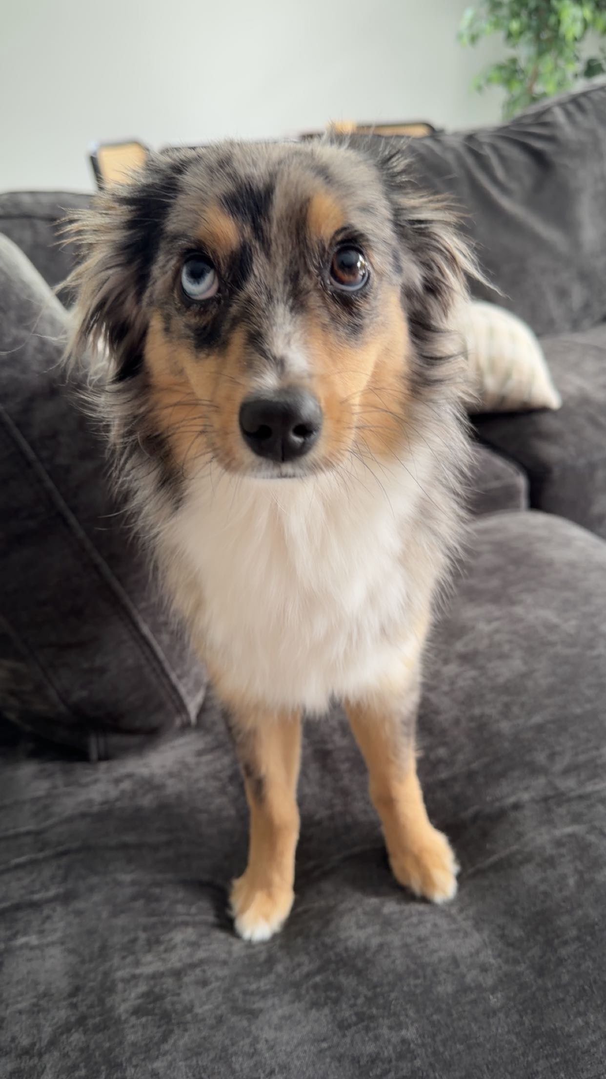 sadie.mckenna snapchat image archive image