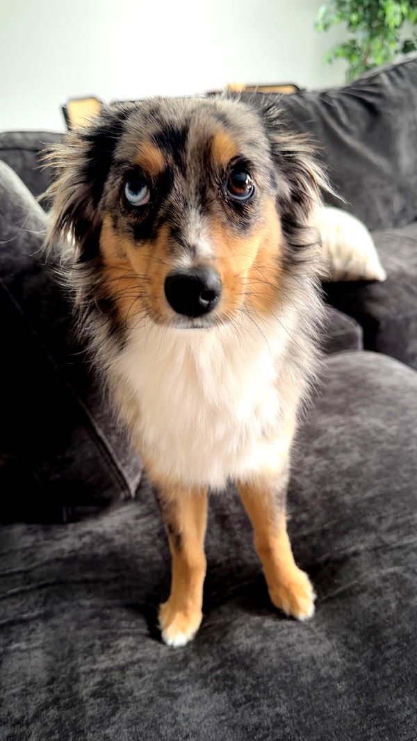 sadie.mckenna image ~ Altpins