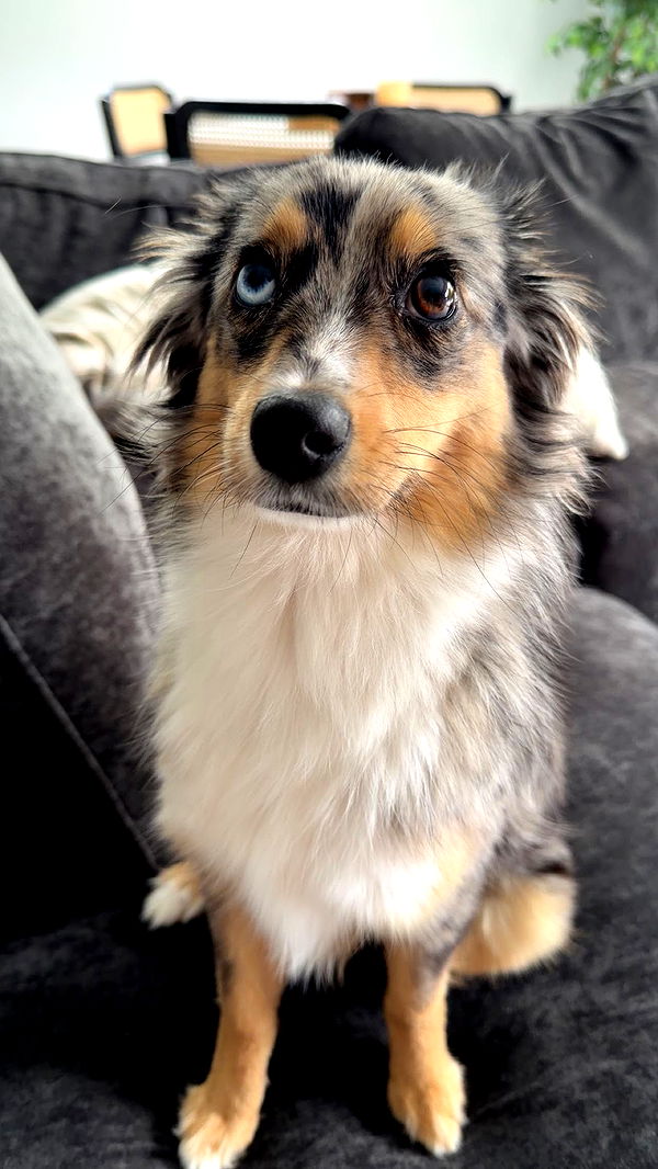 sadie.mckenna image ~ Altpins