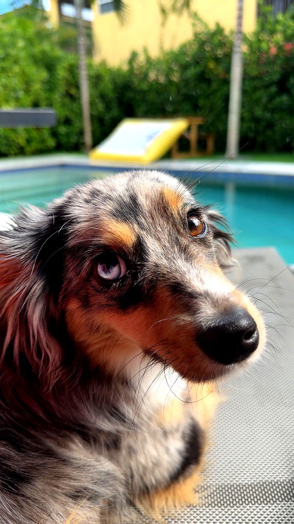 sadie.mckenna image ~ Altpins