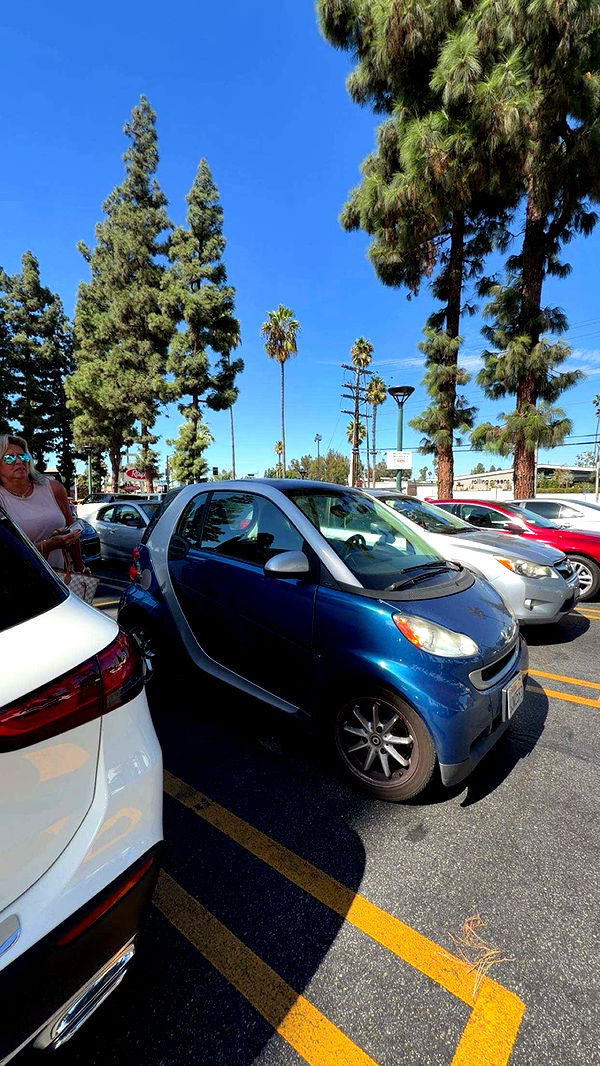 sadie.mckenna image ~ Altpins