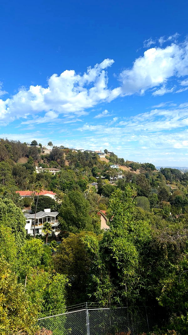 sadie.mckenna image ~ Altpins