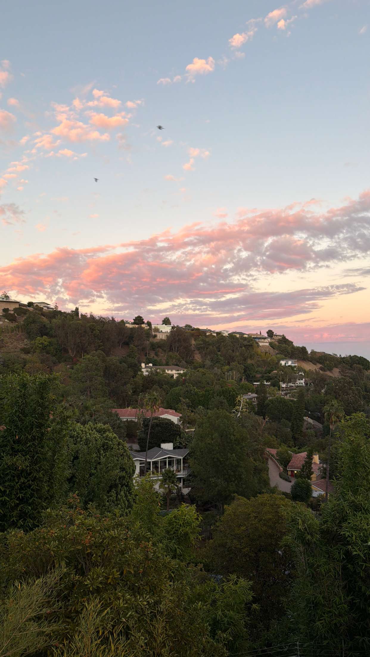 sadie.mckenna snapchat image archive image