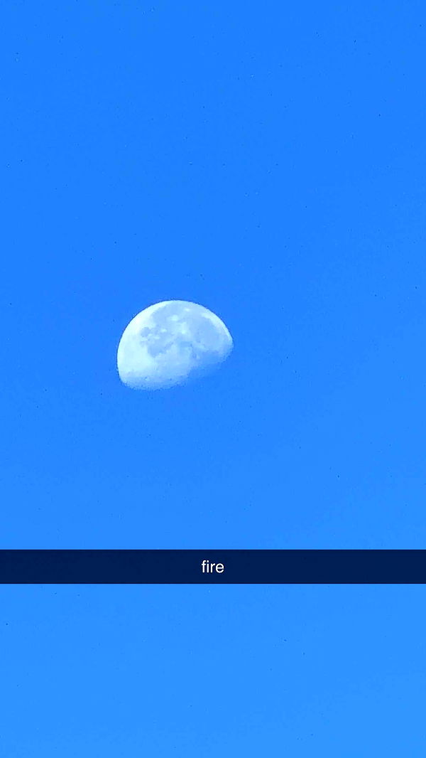 sadie.mckenna image ~ Altpins