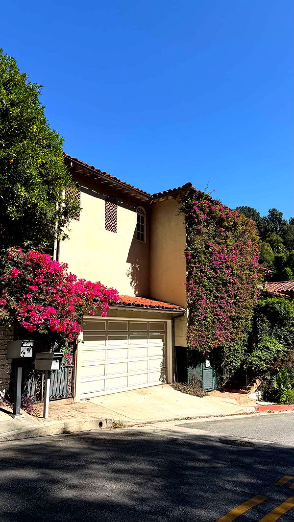 sadie.mckenna image ~ Altpins