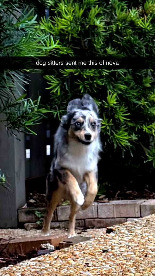 sadie.mckenna image ~ Altpins