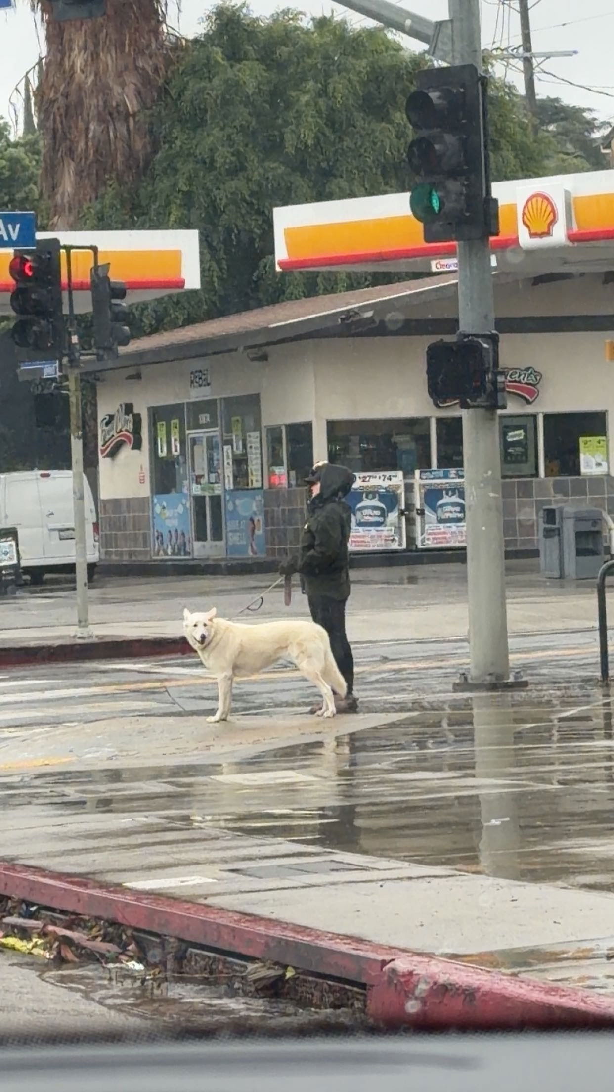 sadie.mckenna snapchat image archive image