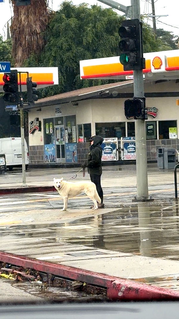 sadie.mckenna image ~ Altpins