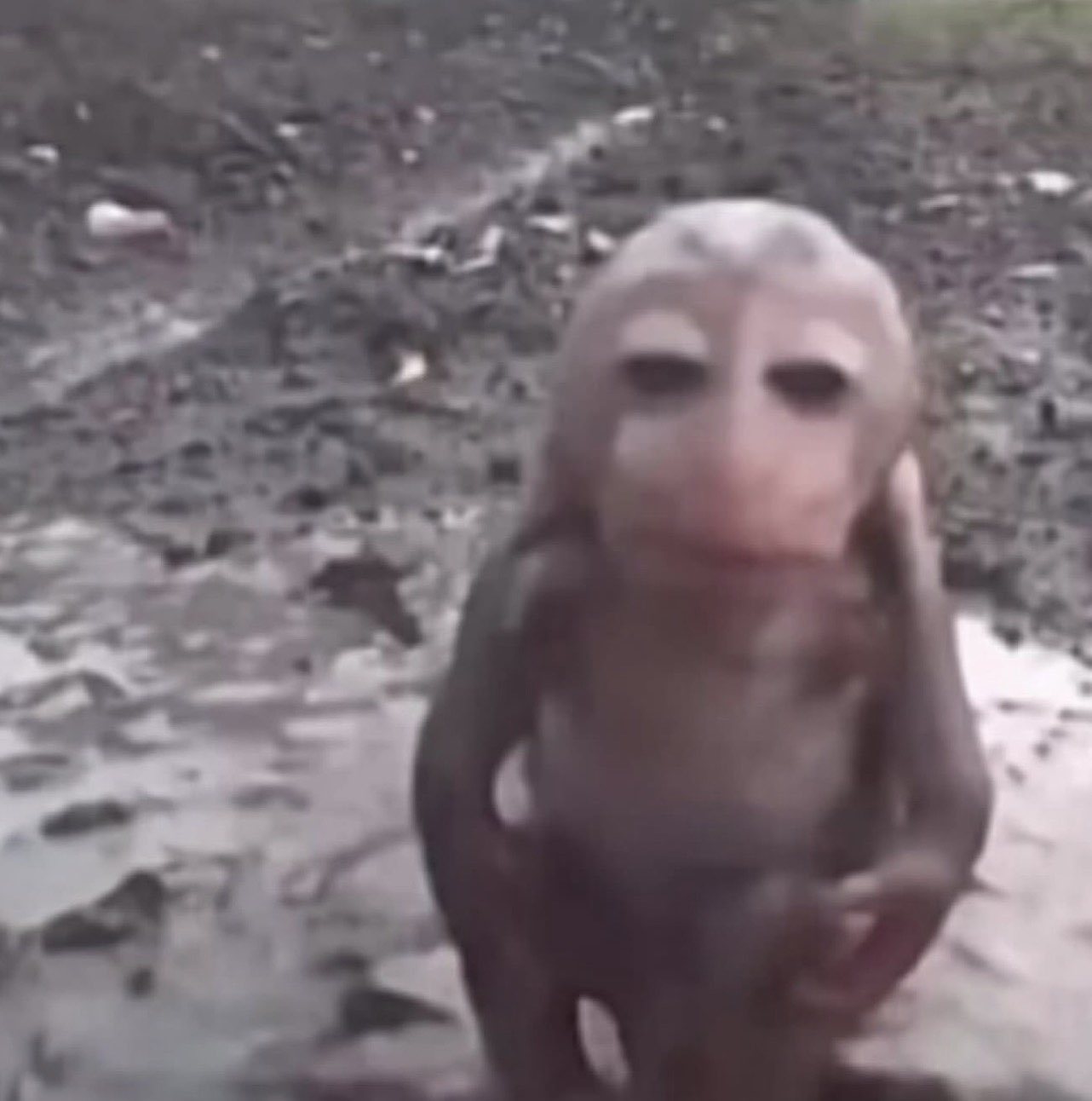 sadie.mckenna snapchat image archive image