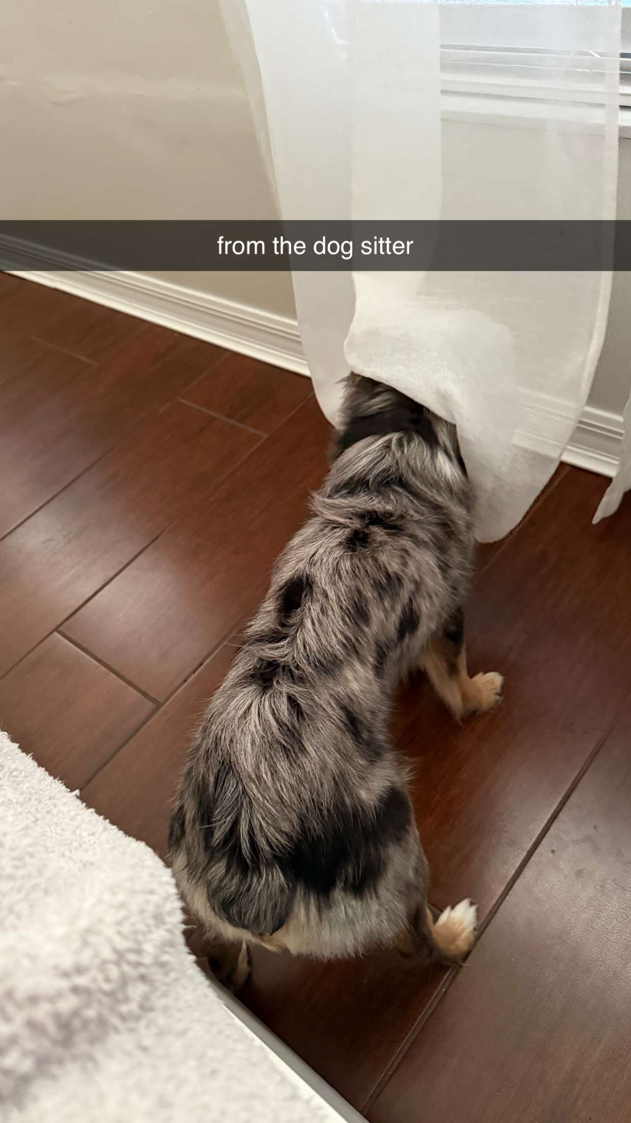 sadie.mckenna snapchat image archive image