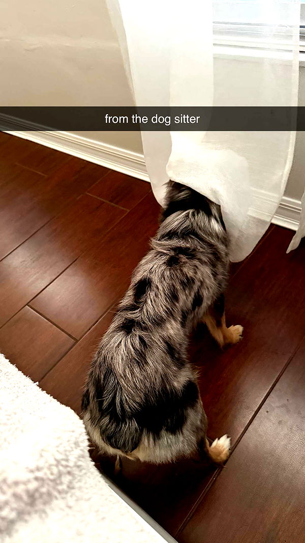 sadie.mckenna image ~ Altpins