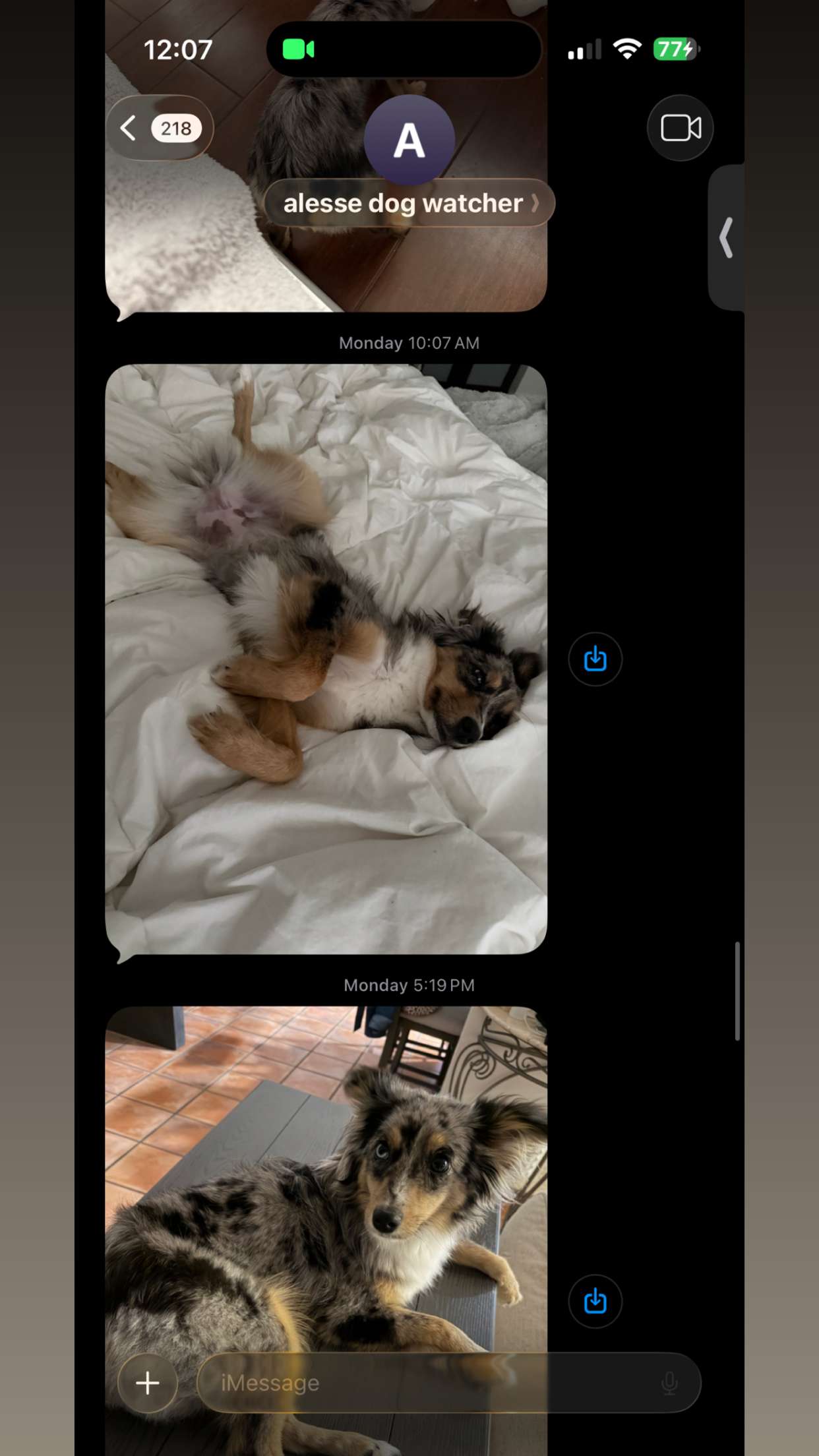 sadie.mckenna snapchat image archive image