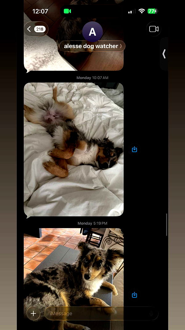 sadie.mckenna image ~ Altpins