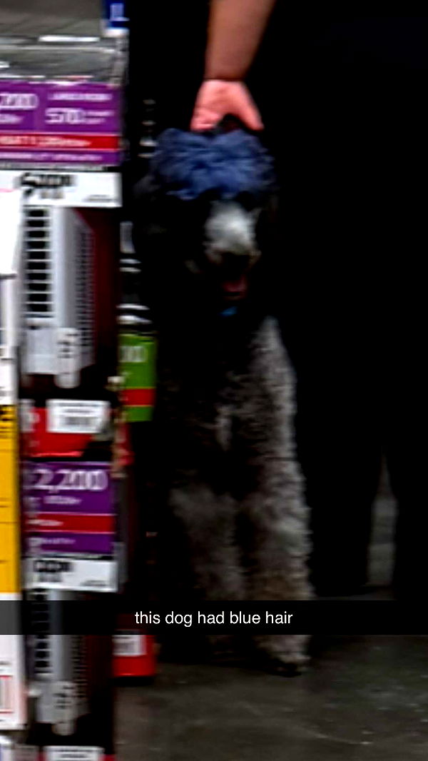 sadie.mckenna image ~ Altpins