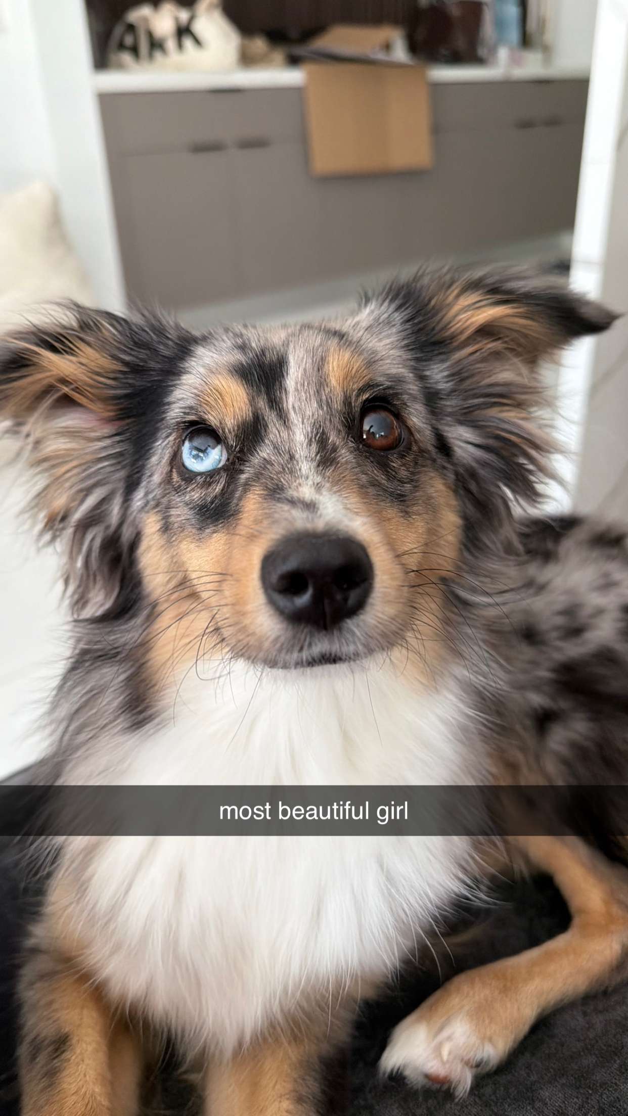 sadie.mckenna snapchat image archive image