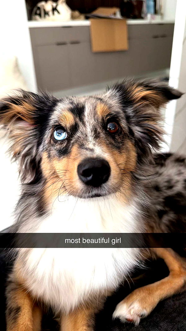 sadie.mckenna image ~ Altpins