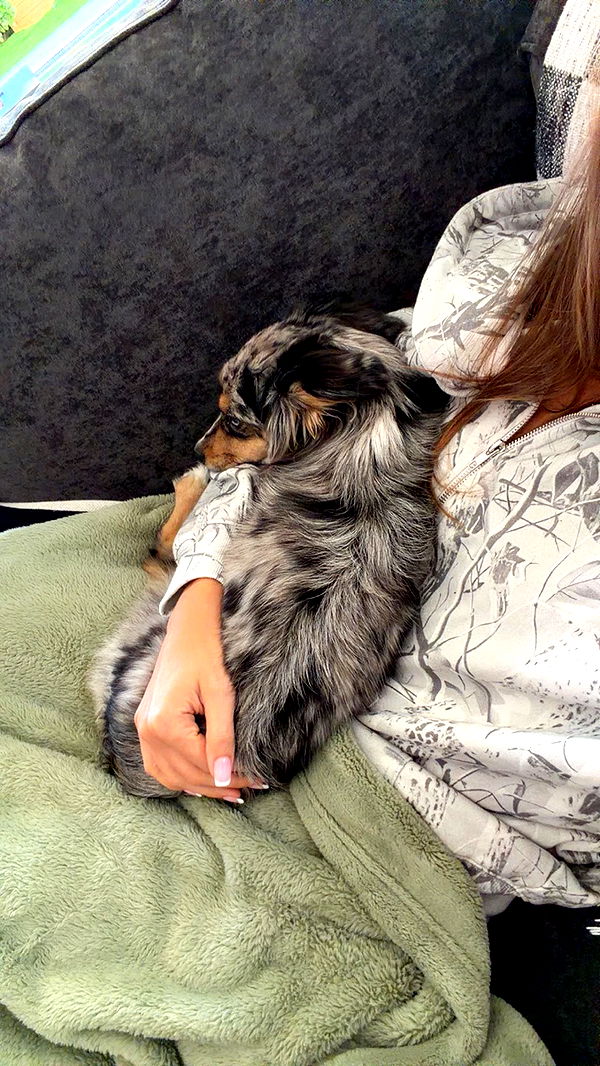 sadie.mckenna image ~ Altpins