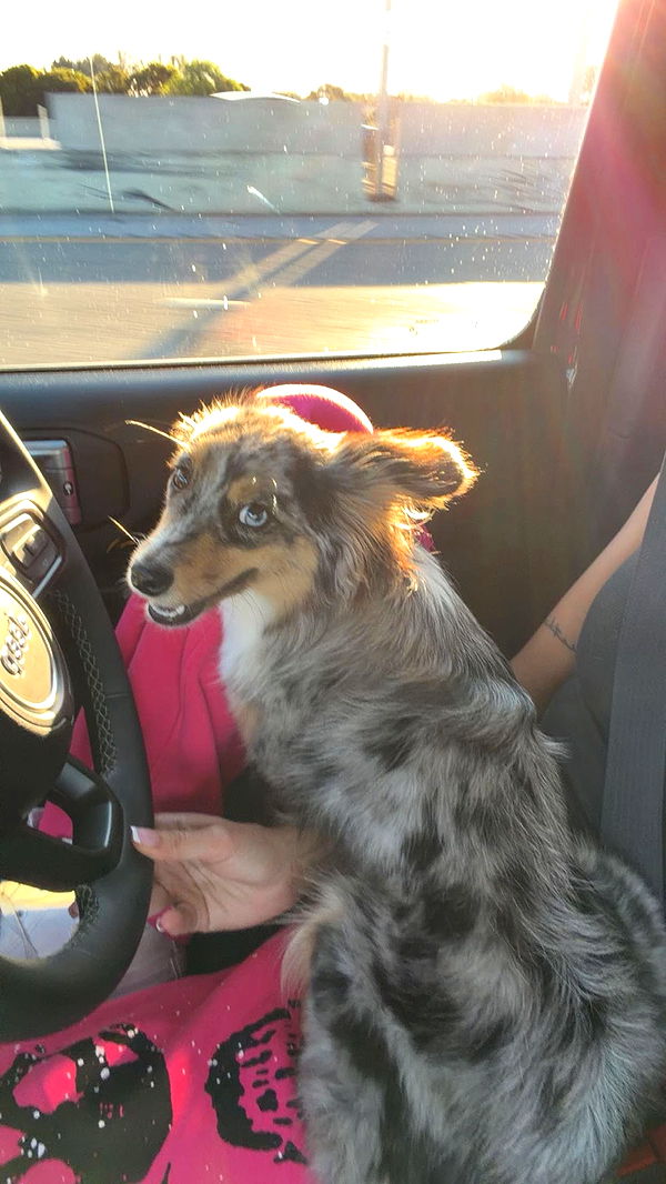 sadie.mckenna image ~ Altpins