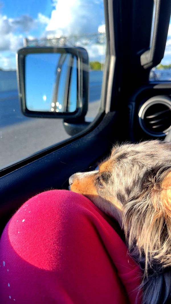 sadie.mckenna image ~ Altpins